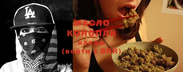 ECSTASY Инсар