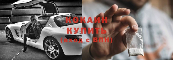 ECSTASY Инсар