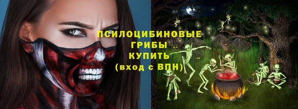 ECSTASY Инсар