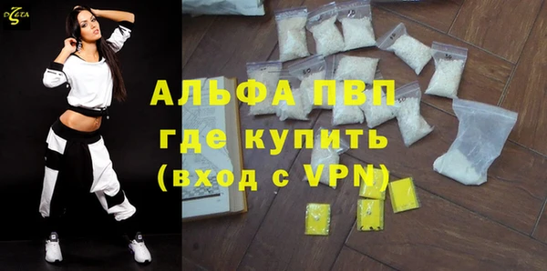 ECSTASY Инсар